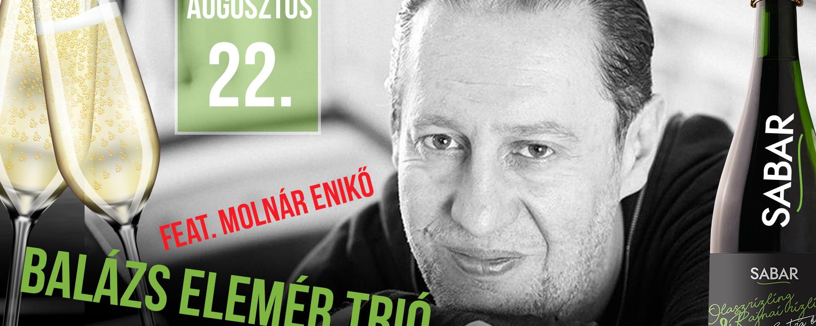 Balázs Elemér Trio feat Molnár Enikő