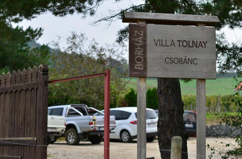 Villa Tolnay Borház album
