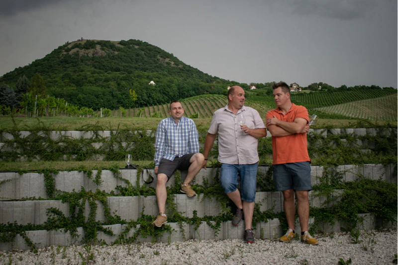 Villa Tolnay Borház album