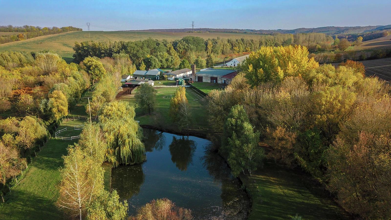 Kóstolj a halastavainkál