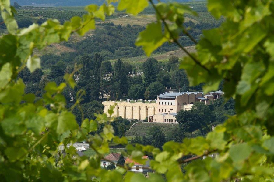 Furmint Február 