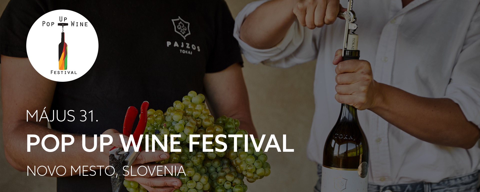 Pop Up Wine Festival, Novo Mesto
