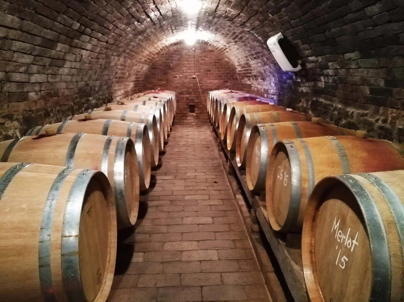 Rejiji Wines