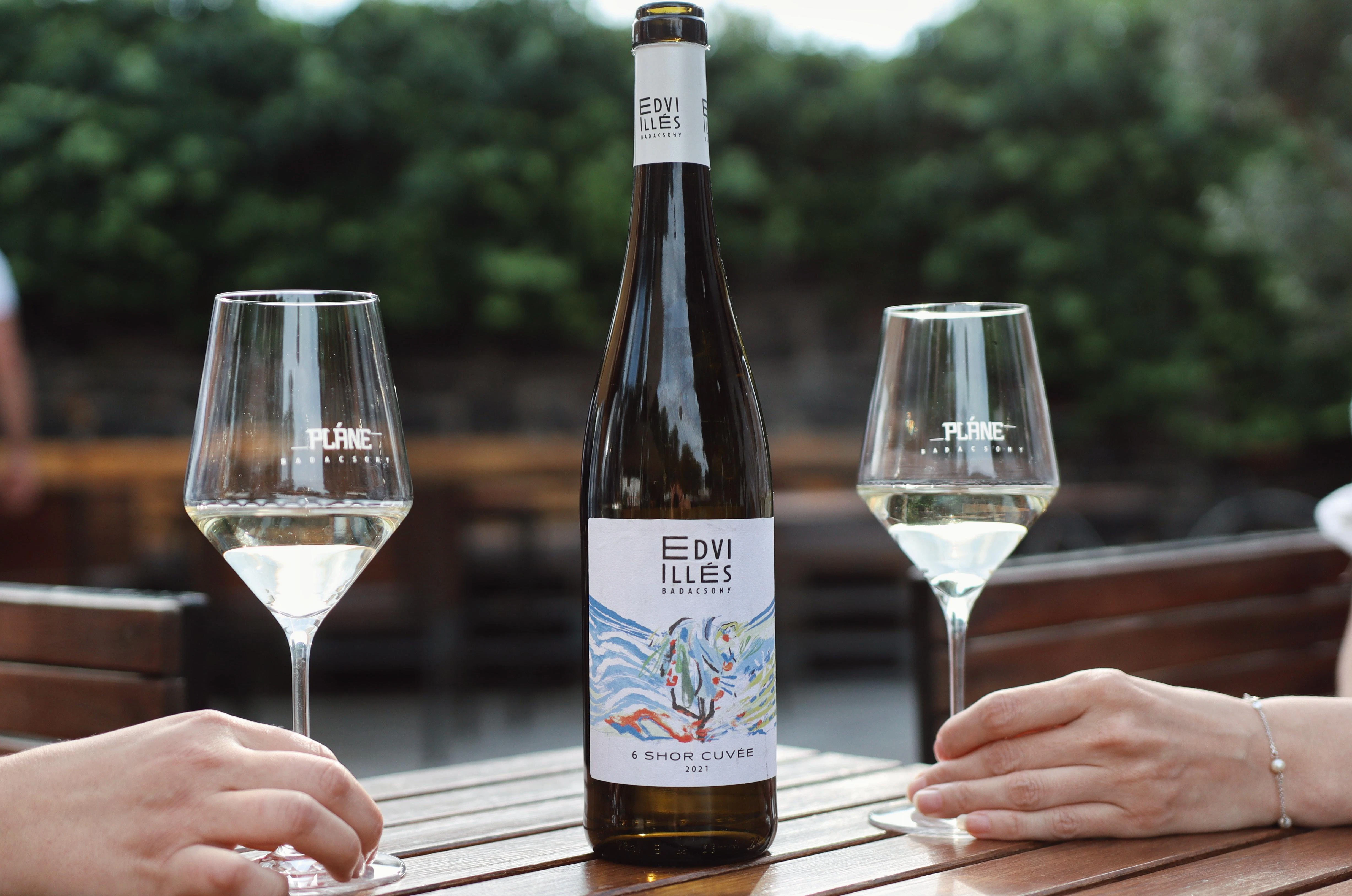 Edvi Illés Badacsony