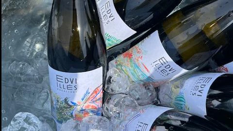 Edvi Illés Badacsony