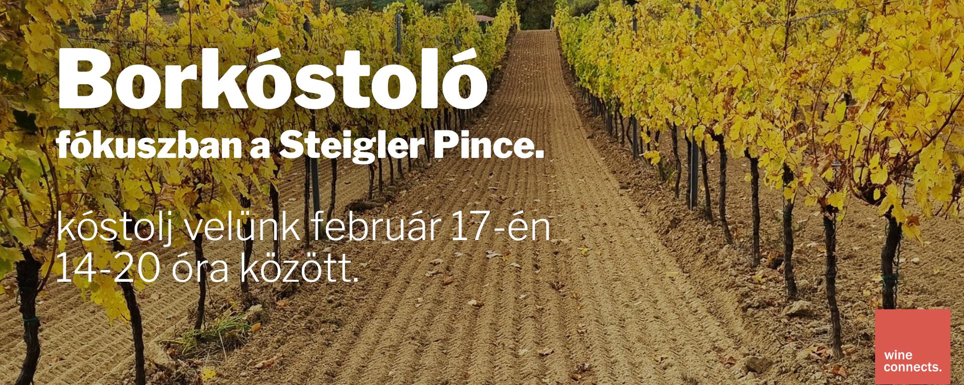 Steigler Pince (Sopron) borkóstoló – február 17-én