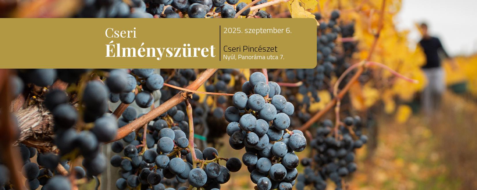 Élményszüret
