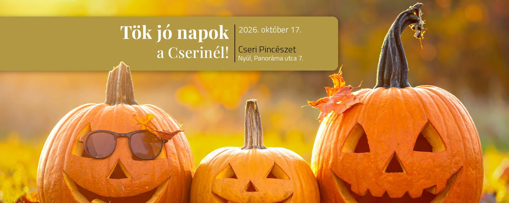 TÖK jó nap a Cserinél!