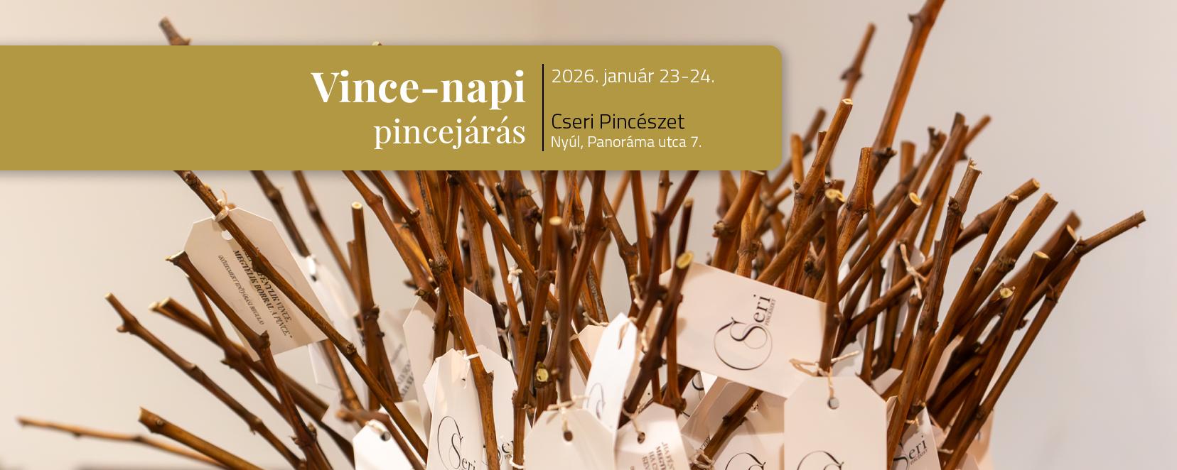 Vince-napi pincejárás