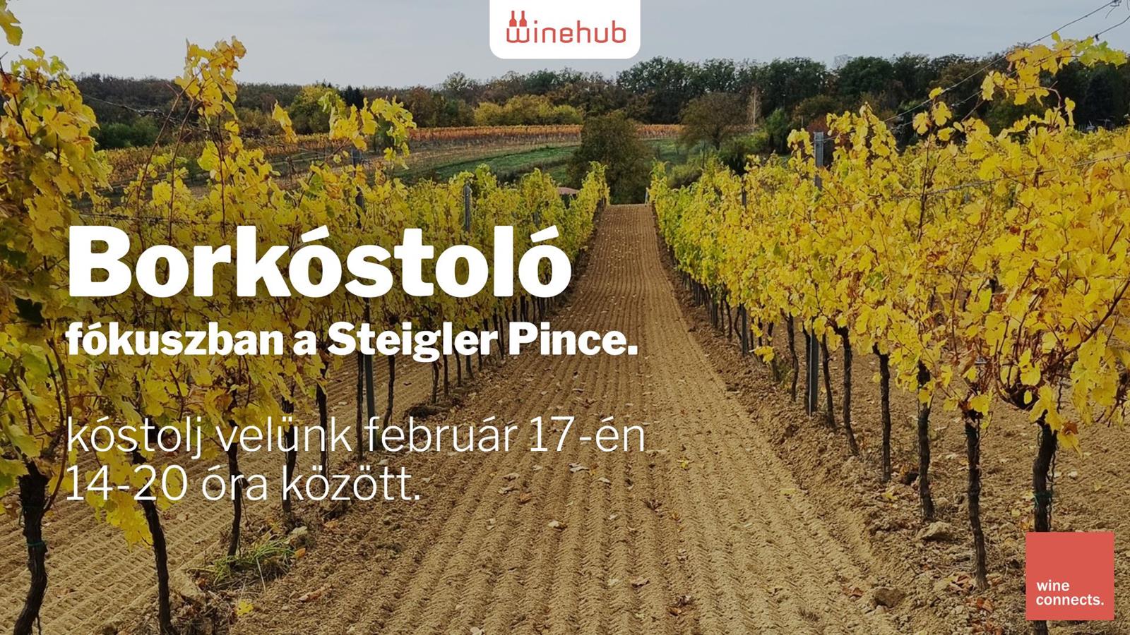 Steigler Pince