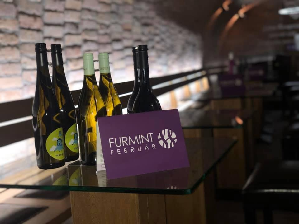 Furmint Február 