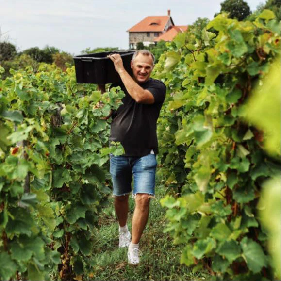 Edvi Illés Badacsony