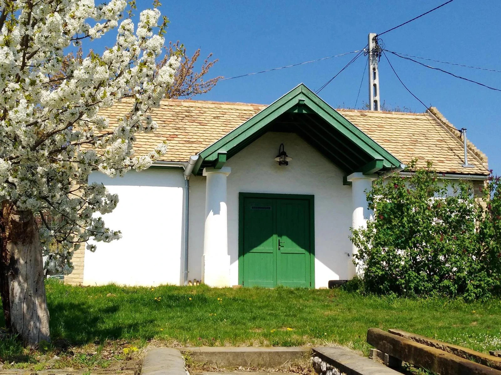 Rejiji Wines