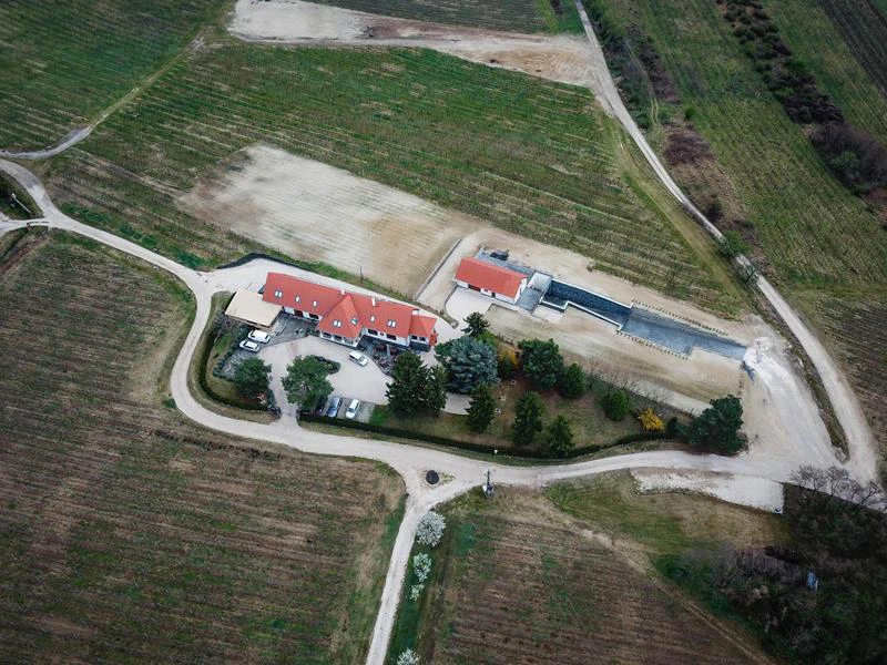 Villa Tolnay Borház album