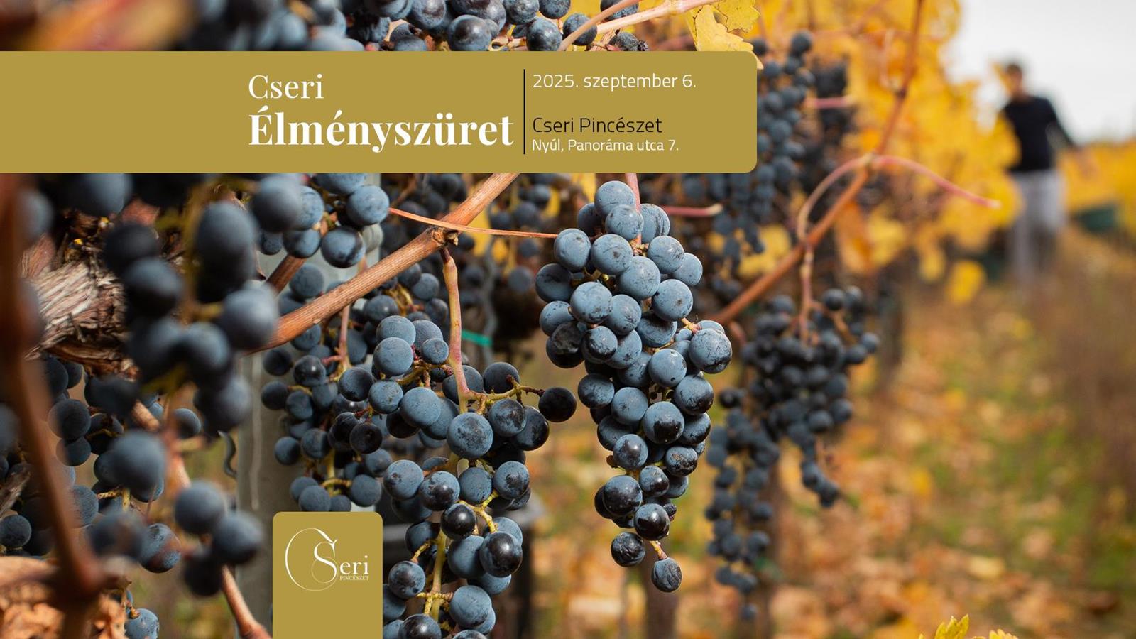Cseri Pincészet