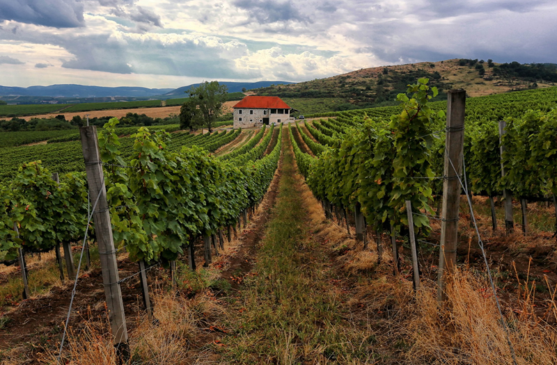 Pajzos Tokaj 