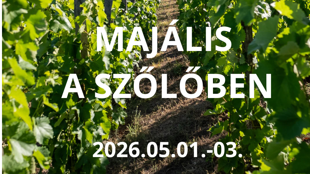 Edvi Illés Badacsony