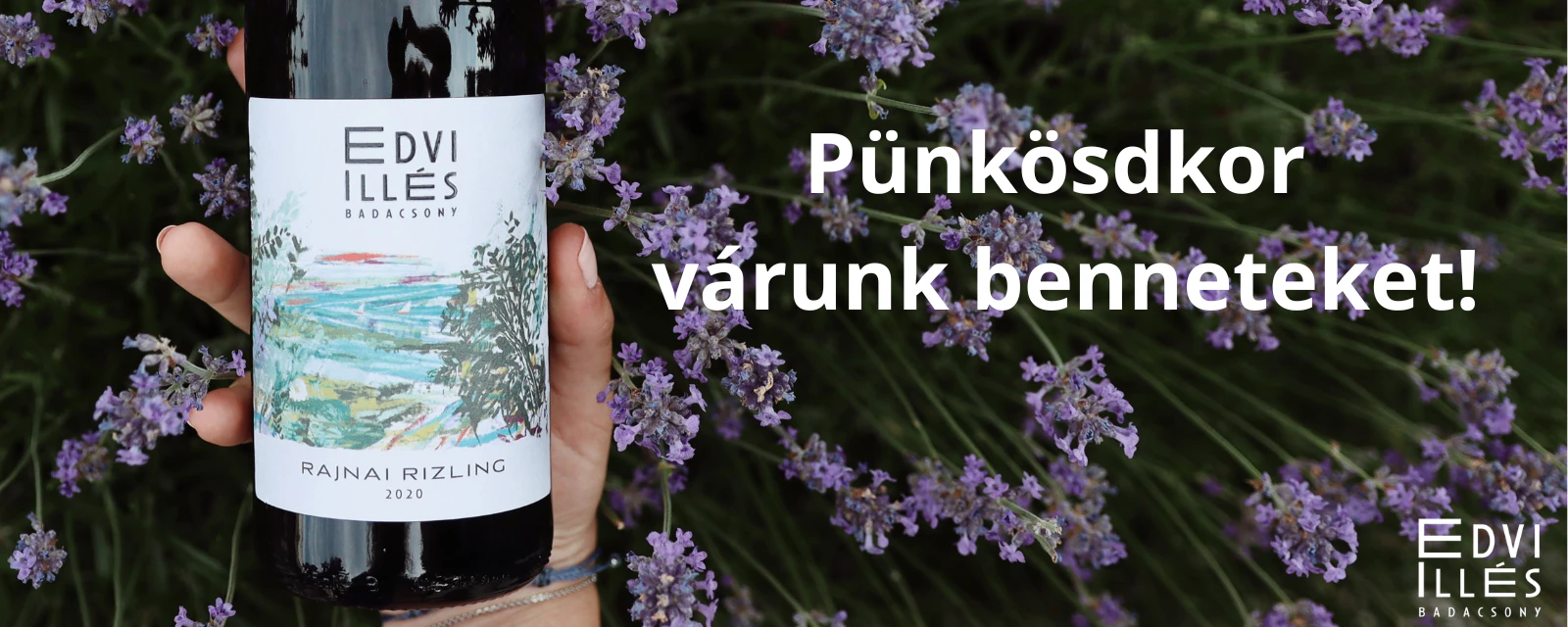 Pünkösd az Edvi Illés Pincénél!